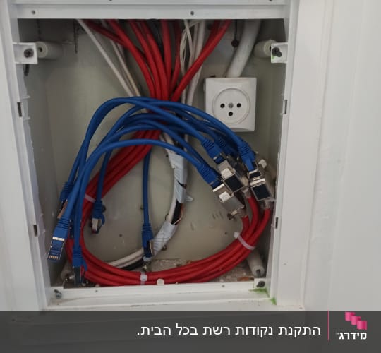 תשתית כבלי רשת כחולים ואדומים בתוך ארון תקשורת ביתי שקוע בקיר